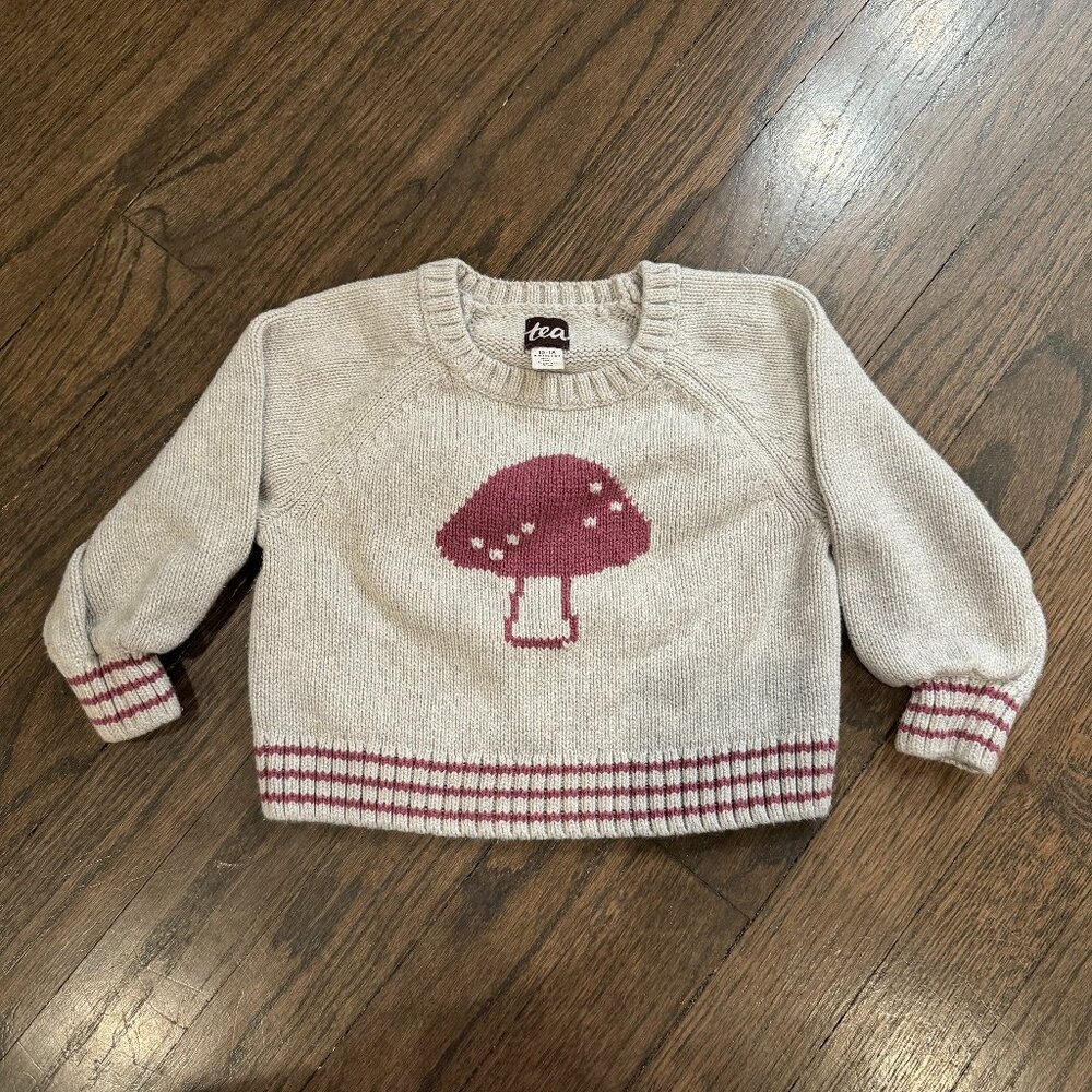 EUC Tea Collection - Girls Bell Sleeve Mushroom Sweater 12-18m